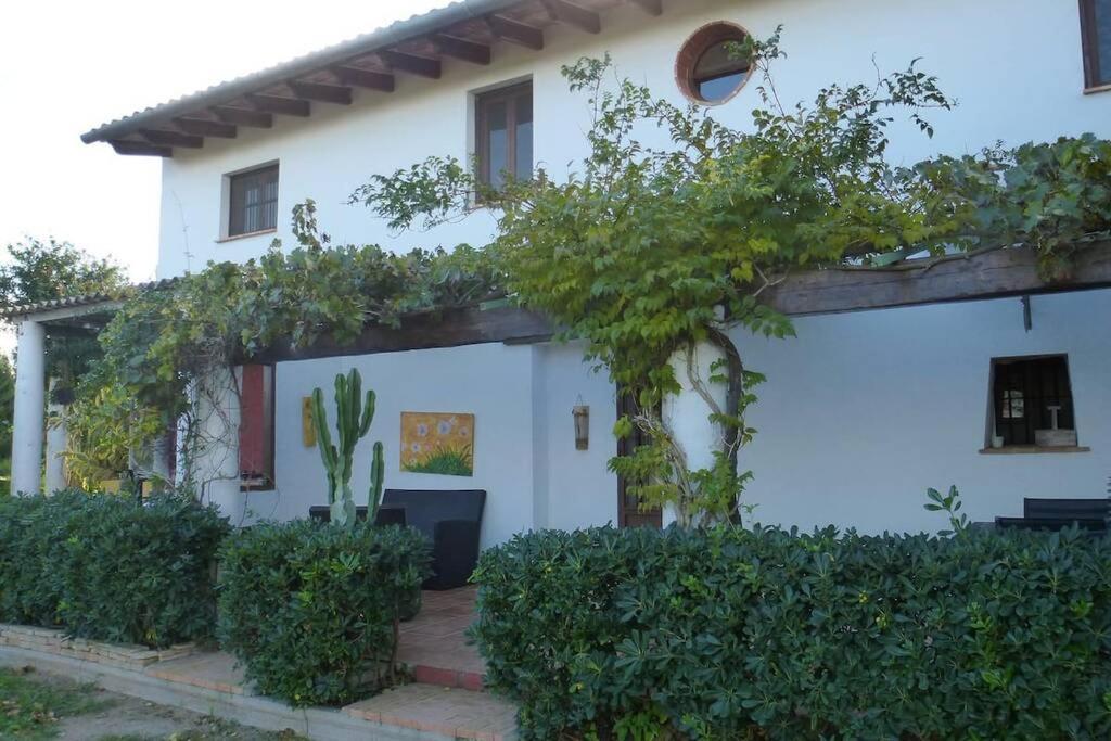 Cortijo Con Encanto Villa Cullera Ngoại thất bức ảnh