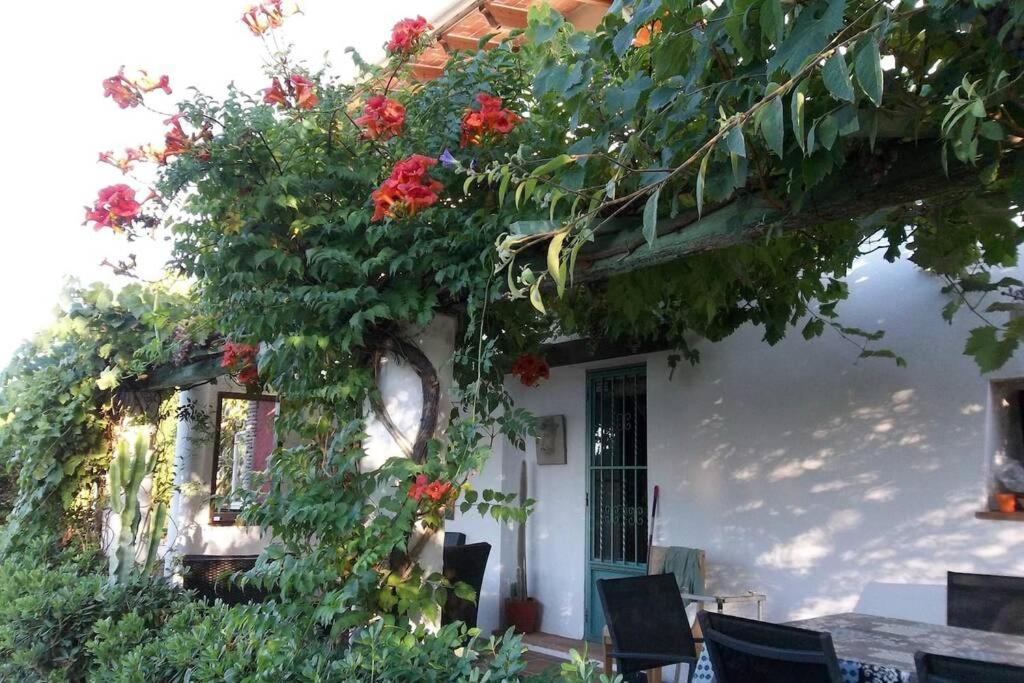 Cortijo Con Encanto Villa Cullera Ngoại thất bức ảnh